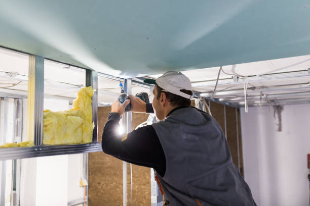 Best Specialized Insulation Services in Derma, MS