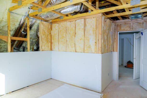 Best Eco-Friendly Insulation in Derma, MS